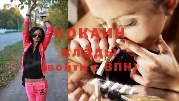 ECSTASY Медногорск
