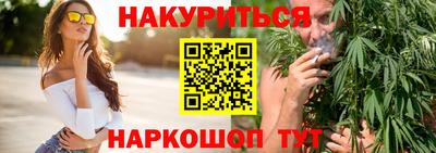 дмт Гатчина