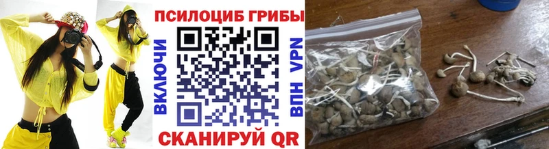 Псилоцибиновые грибы MAGIC MUSHROOMS  Чусовой 