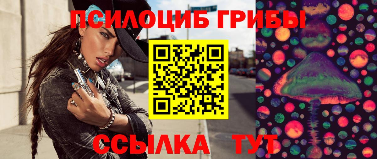 Галлюциногенные грибы Psilocybine cubensis Чусовой